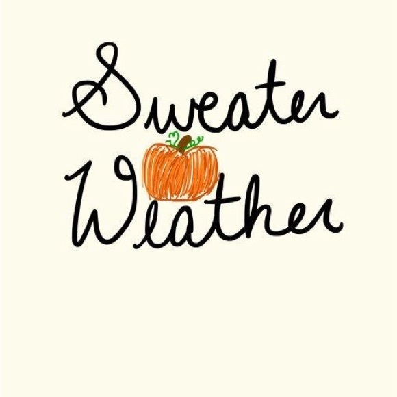 Cozy Sweaters - Picture 1 of 1